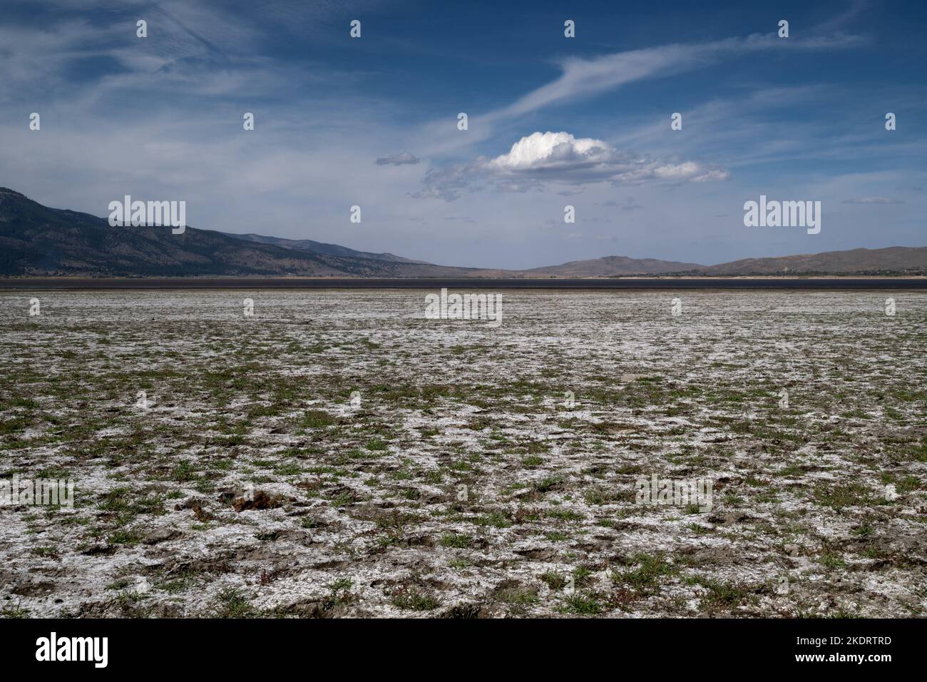 Washoe Lake State Park high desert landscape featuring a cloud in the distance on a blue sky day copy-space and green grass, Nevada, USA Stock Photo