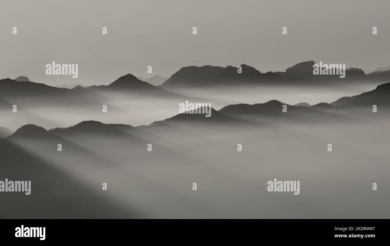 Sunbeams in fog hi-res stock photography and images - Alamy