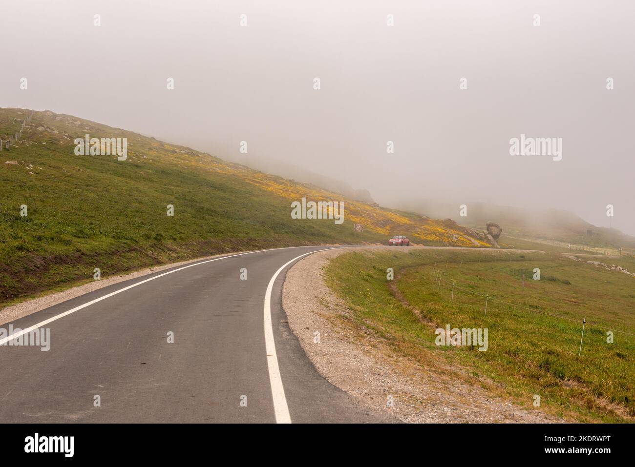 Point Reyes, California, USA. May 1, 2021. Car coming on one-way road from Chimney Rock trailhead on a foggy day featuring orange color wildflowers (C Stock Photo