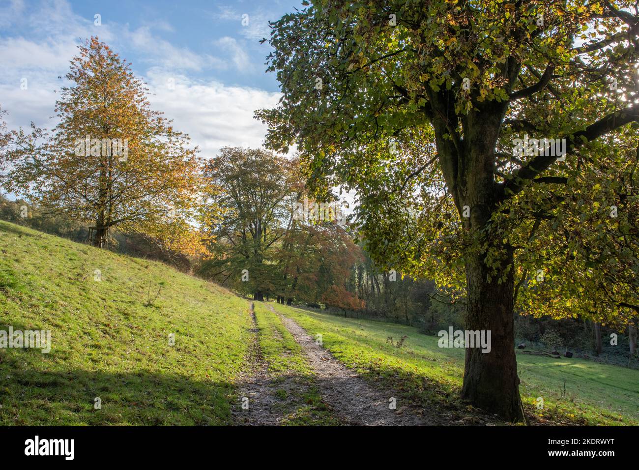 Great Givendale, track down the dale' East Yorkshire Stock Photo