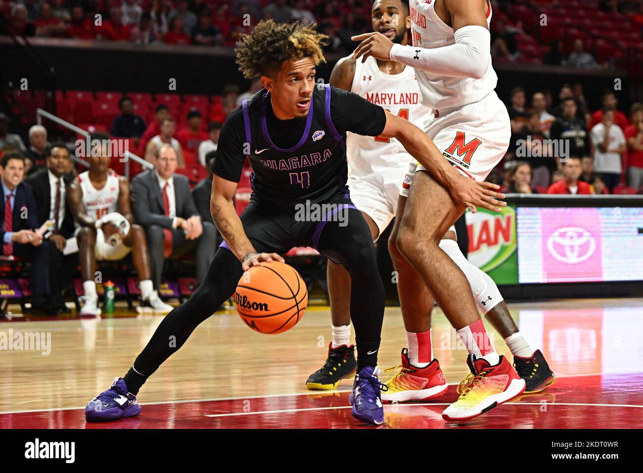 College Park, MD, USA. 07th Nov, 2022. Niagara Purple Eagles guard Braxton Bayless (4) dribbles down the lane during the NCAA basketball game between the Maryland Terrapins and the Niagara Purple Eagles at Xfinity Center in College Park, MD. Reggie Hildred/CSM/Alamy Live News Stock Photo