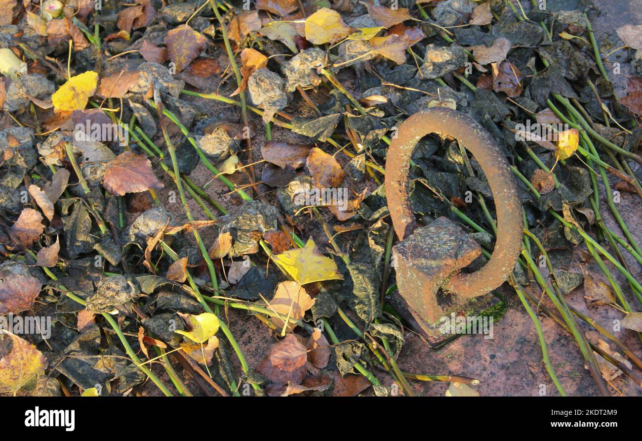 cemetery grave lid rusty handle with withered flowers Stock Photo