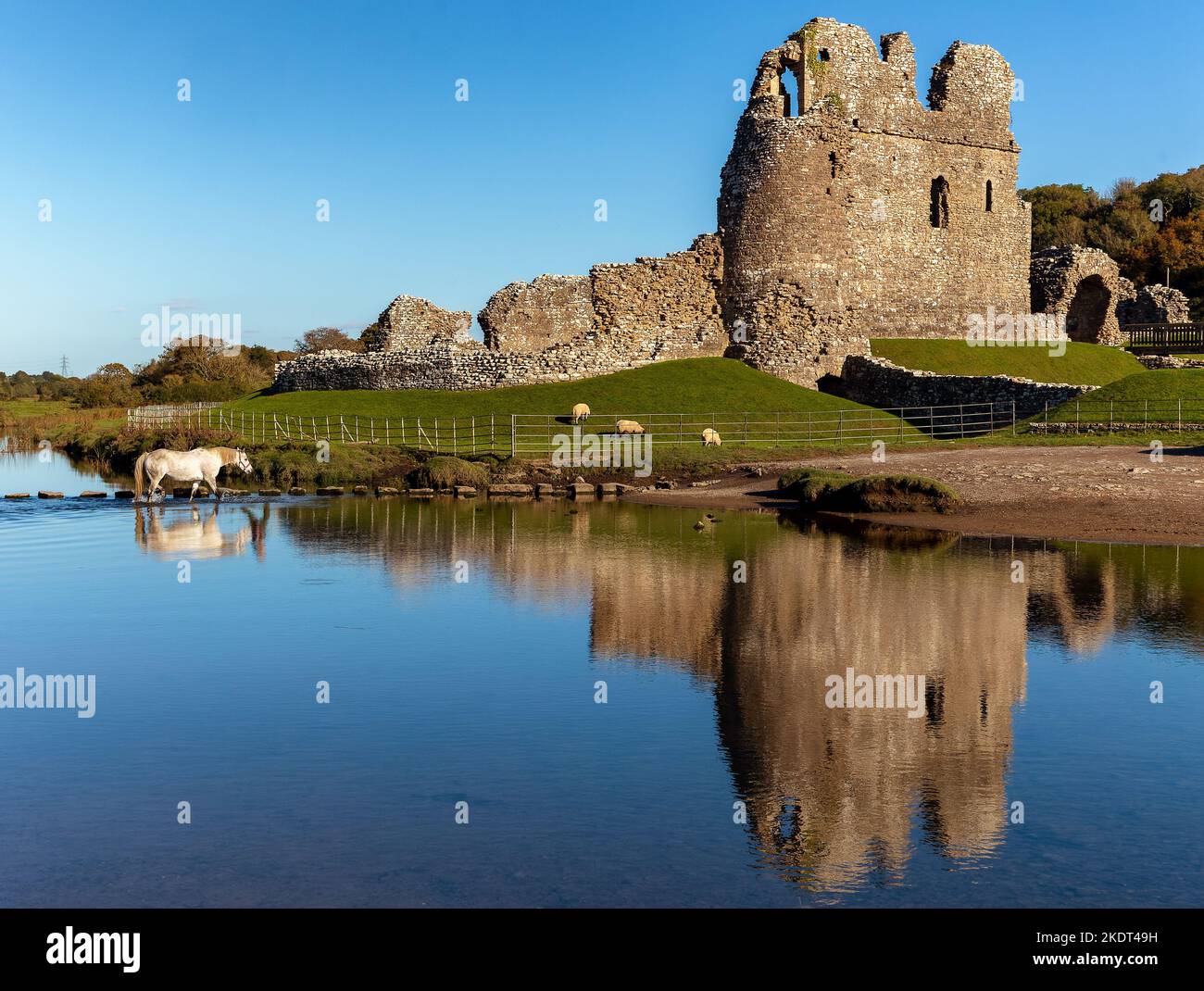 Horses crossing a river next to the ruins of an ancient castle. (Ogmore Castle, Glamorgan, Wales) Stock Photo