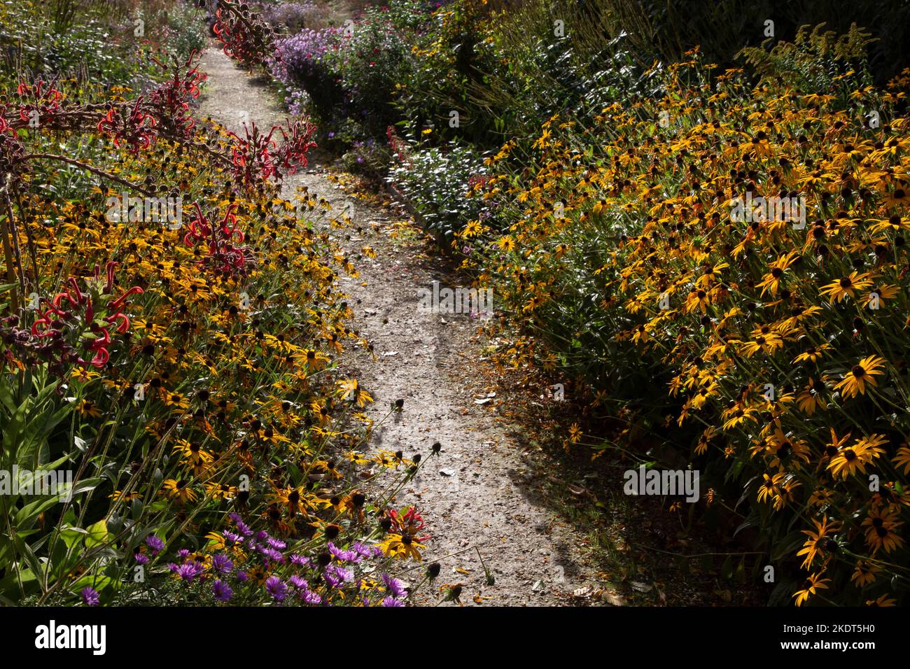 Early Autumn colourful garden boarders in english garden Stock Photo