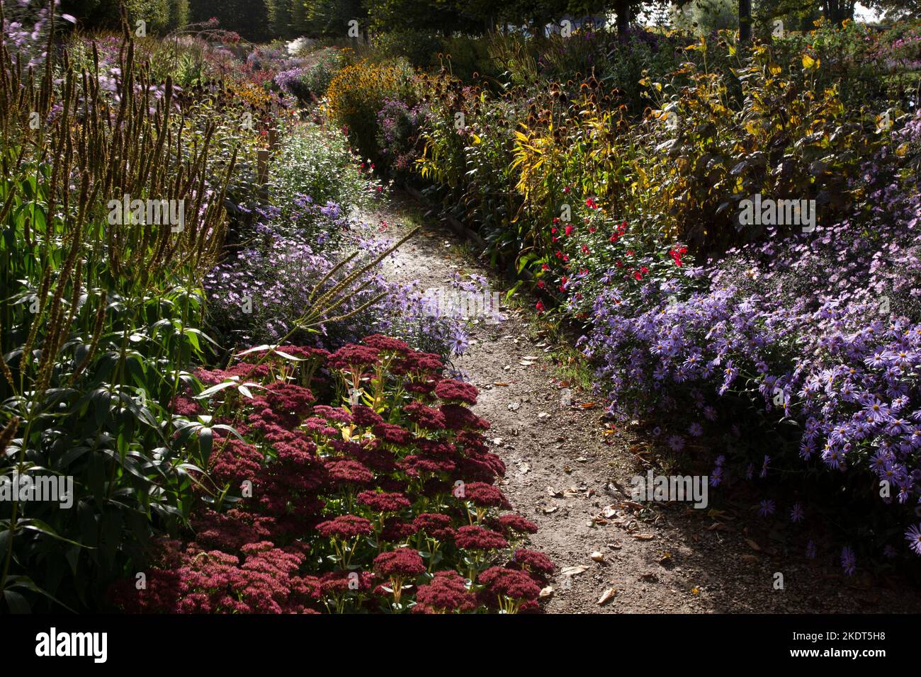 Early Autumn colourful garden boarders in english garden Stock Photo