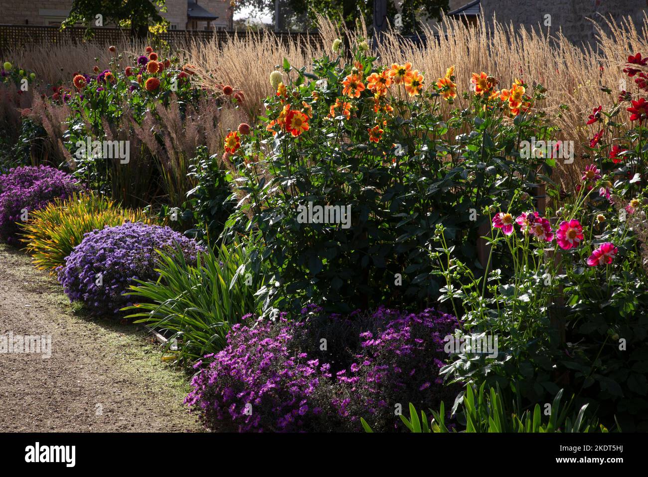 Grasses garden autumn hi-res stock photography and images - Alamy
