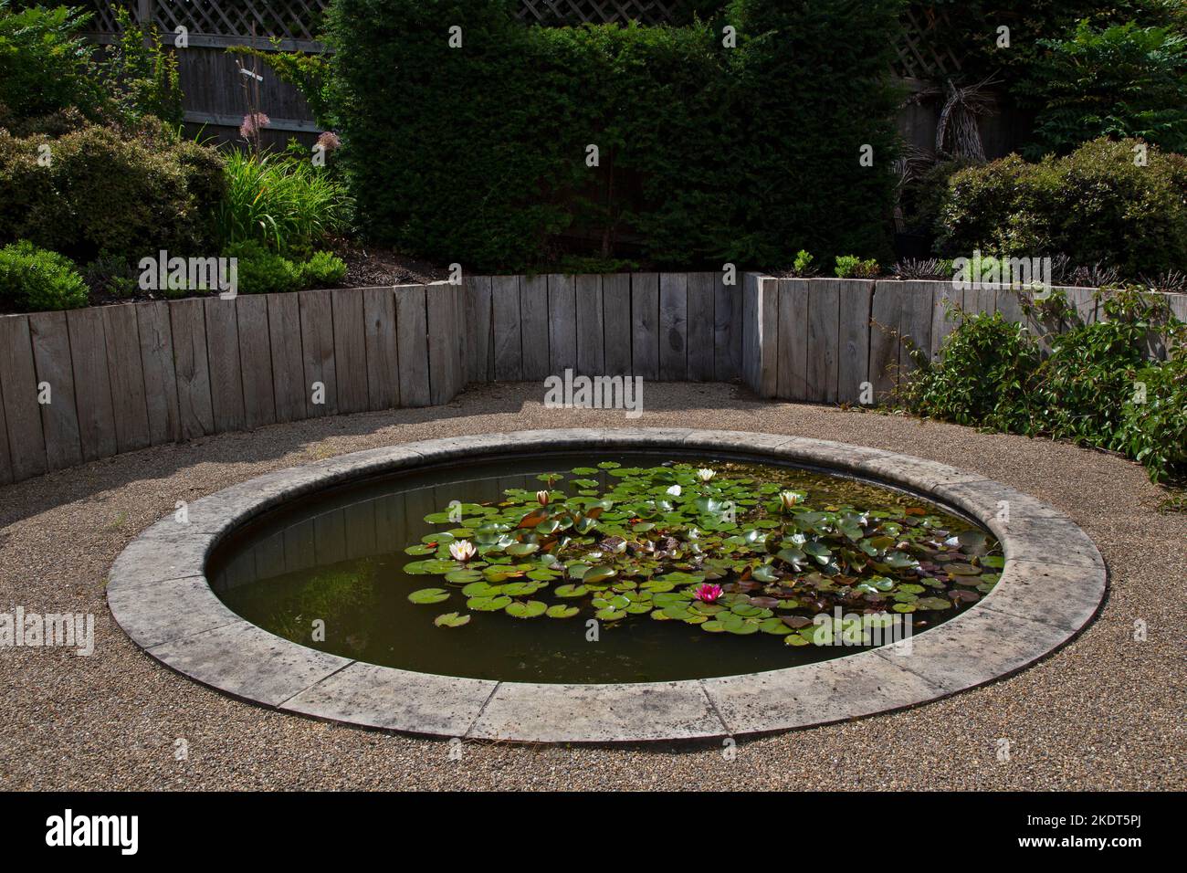 Round decorative pond feature with lilies in English garden , England Stock Photo