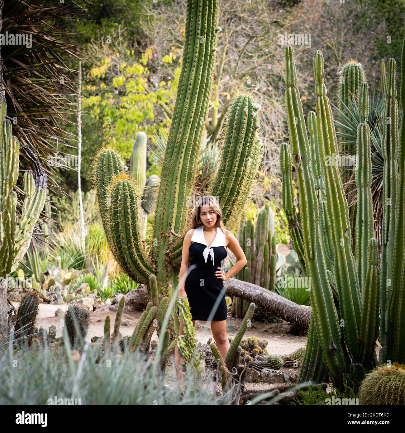 Beautiful Young Woman Wearing a Short Black and White Dress Standing in a Cactus Garden | Desert Scene Stock Photo