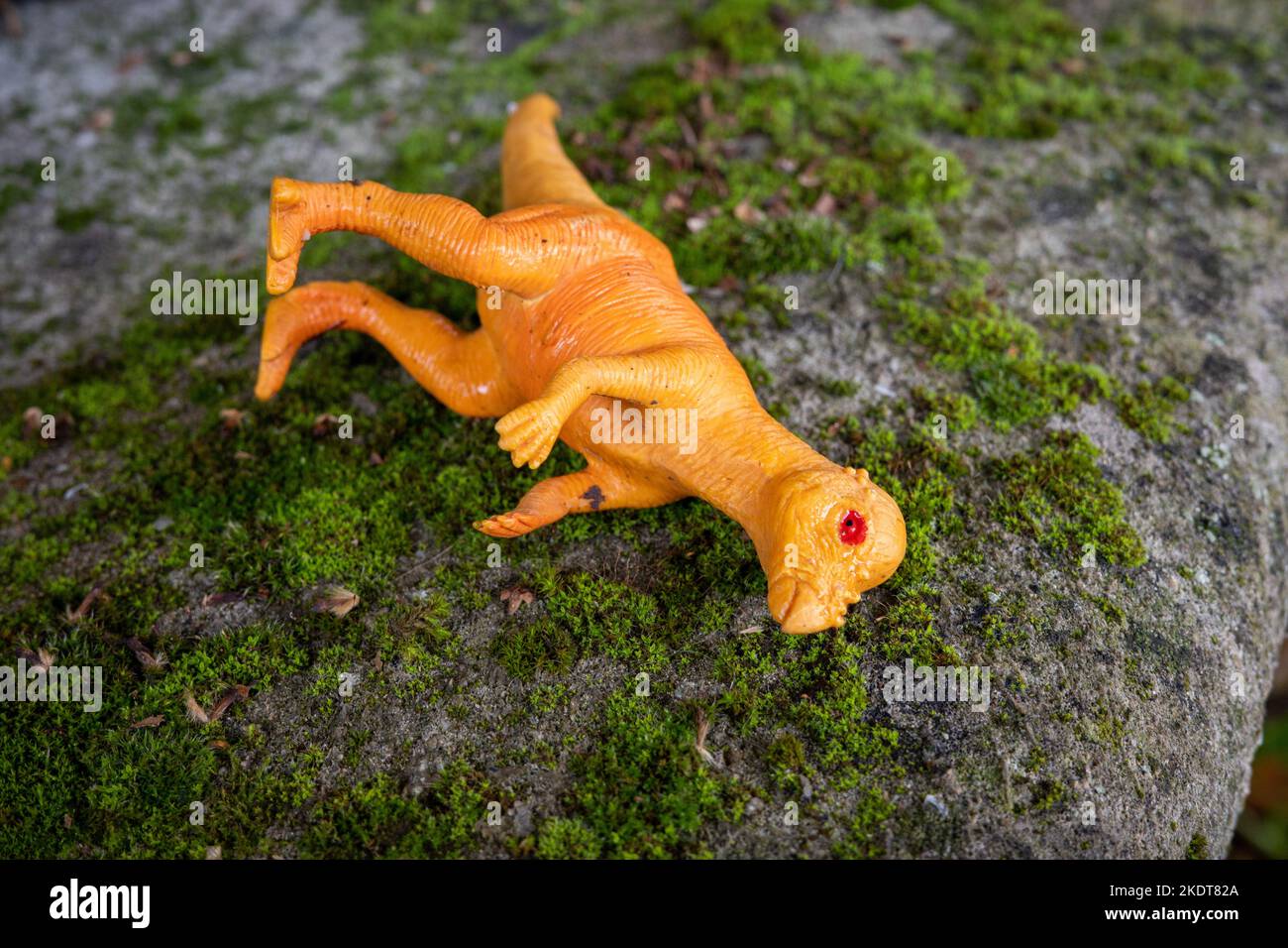 Toy dinosaur left on a mossy wall Stock Photo