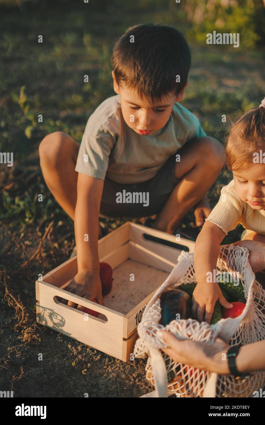 Two children filling an empty wooden box with freshly picked vegetables