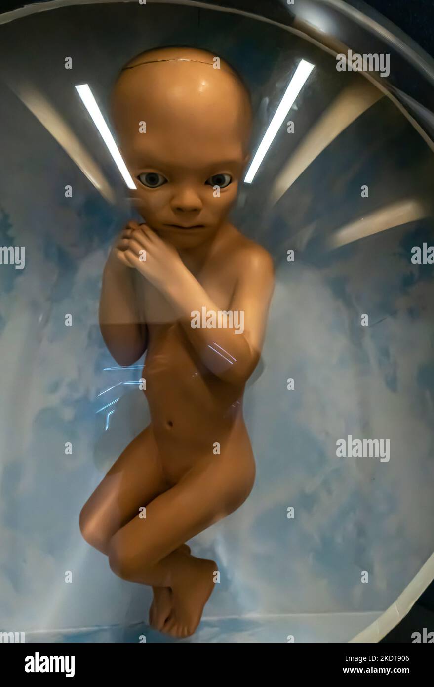 2001: A Space Odyssey (1968). The Star Child model. Stock Photo