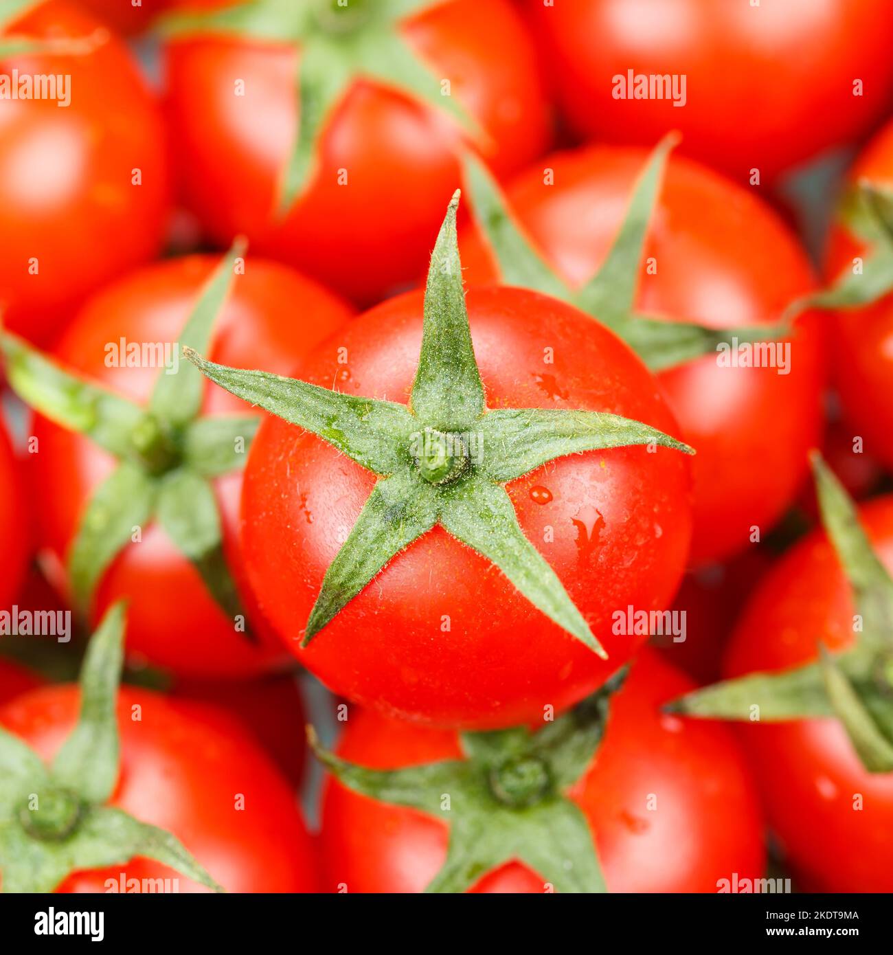 Stuttgart, Germany - December 9, 2021: Tomato Tomato Vegetable From Above Square In Stuttgart, Germany. Stock Photo