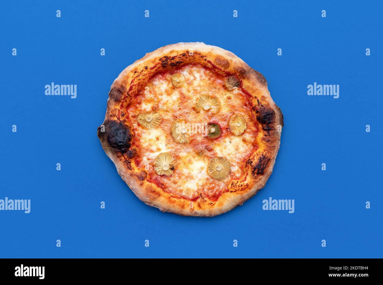 Above view with a homemade vegetarian pizza minimalist on a blue table. Delicious pizza with wild edible mushrooms, mozzarella and tomato sauce. Stock Photo
