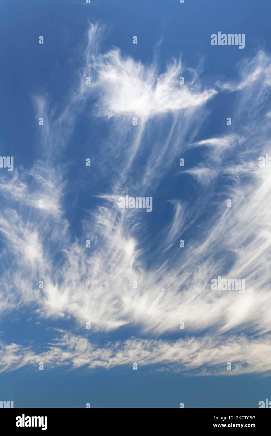 Mare’s tail cirrus clouds, formed from ice crystals, Dorset, UK, July. Stock Photo