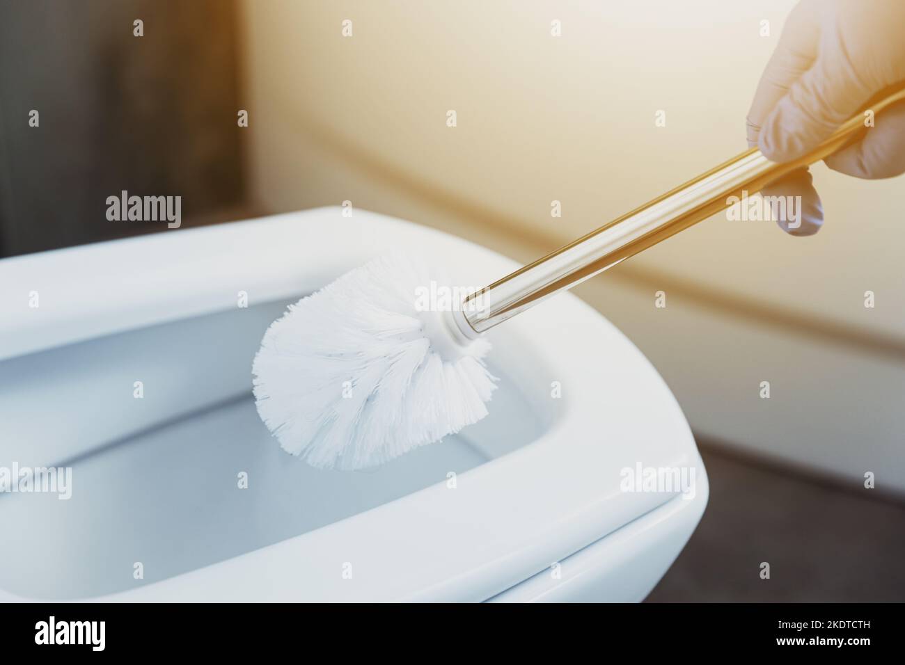 Close up on housewife hands in gloves cleaning toilet bowl with scrub