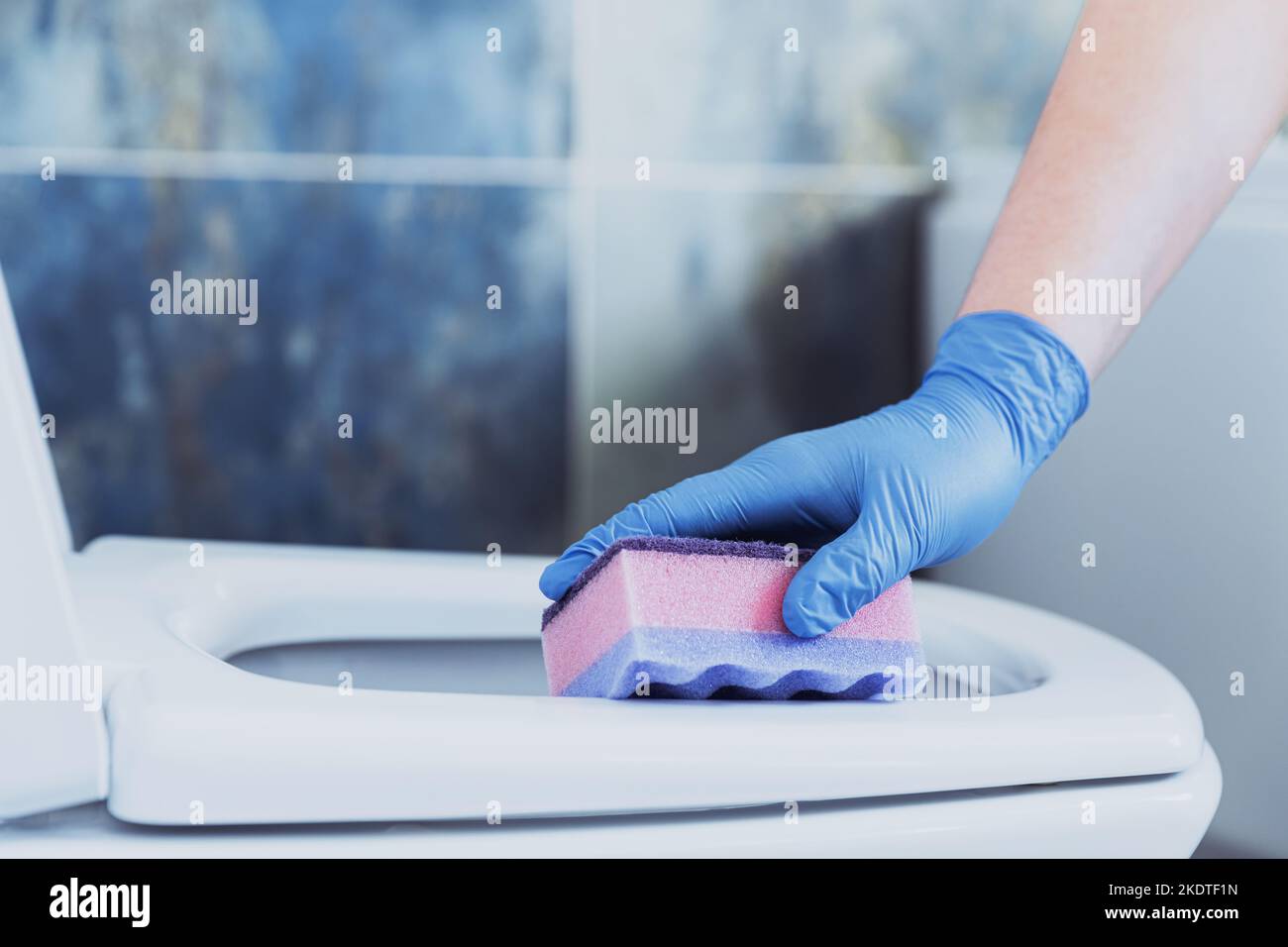 Cropped image view with close up on woman hands gloved in rubber protective gloves. Housewife cleaning toilet bowl, seat with pink sponge in bathroom or modern public restroom with blue grey tile Stock Photo