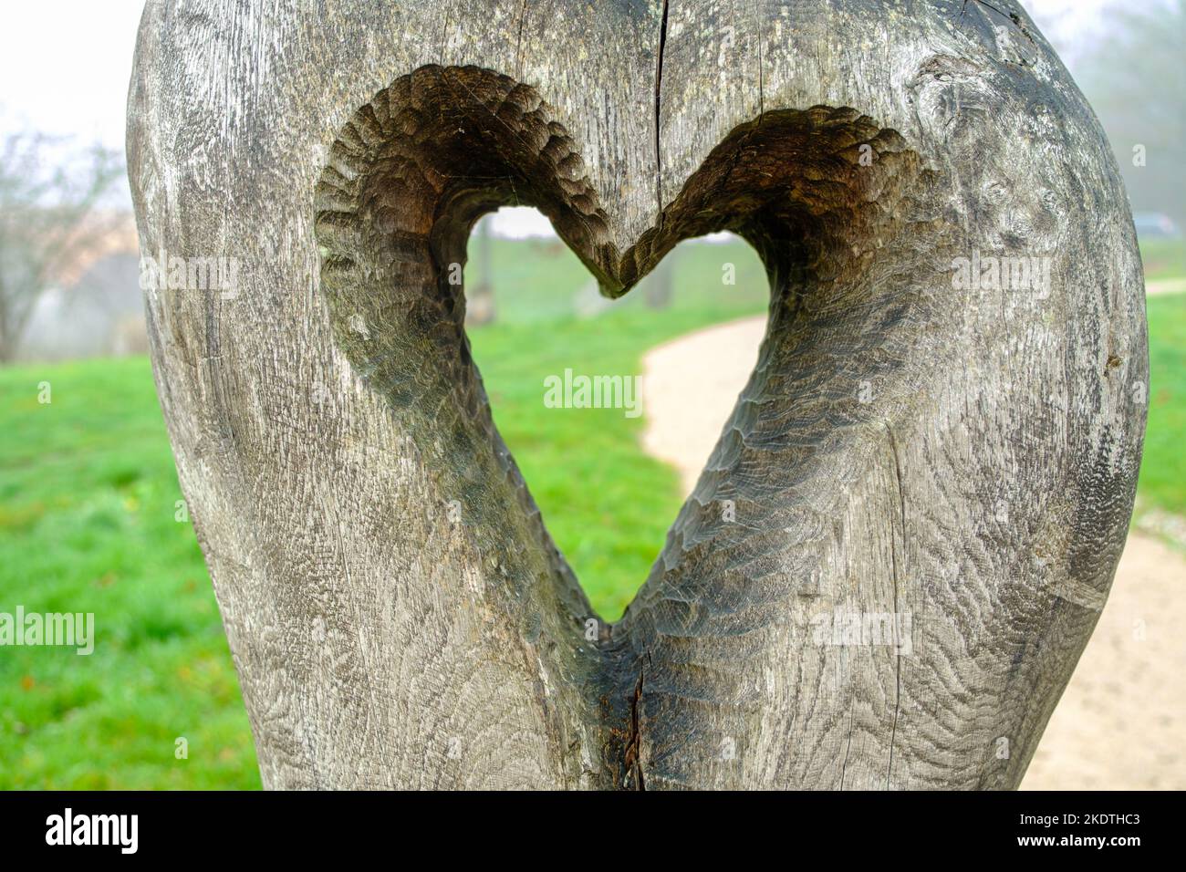 Heart shape carved in wood. Valentine's Day celebration Stock Photo