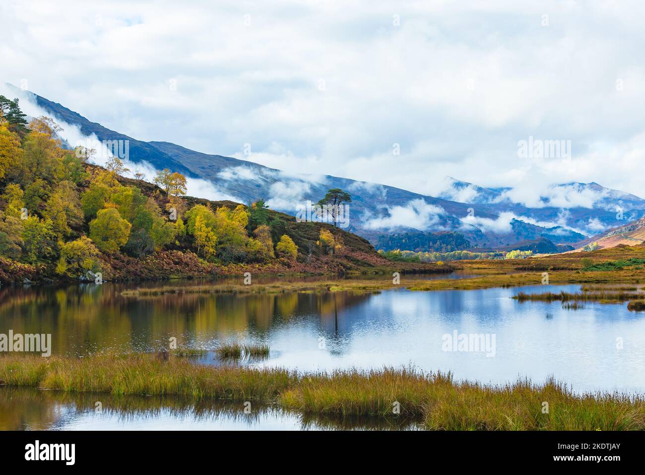 Glen Strathfarrar in Autumn with low cloud over the mountains, Scots Pine trees and reflections in the loch.  Scottish Highlands.  Horizontal.  Space Stock Photo