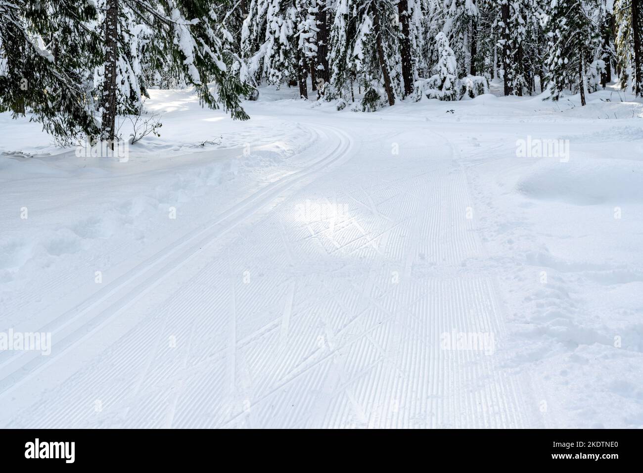 Groomed Cross-Country Ski Tracks in the Mountains Stock Photo