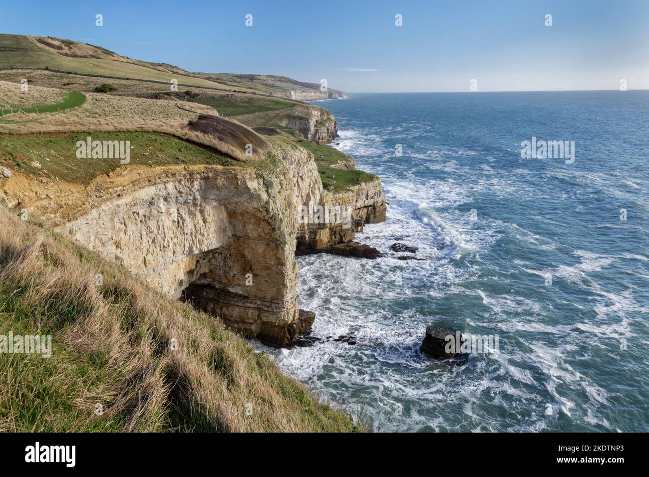View east along cliffs at Winspit and Seacombe towards Anvil Point, near Worth Matravers, Isle of Purbeck, Dorset, UK, January. Stock Photo