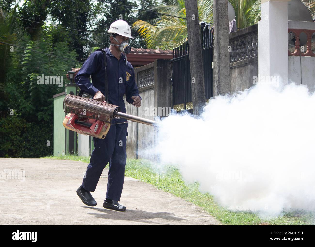 National Dengue Control Unit mosquito inspection Future Trends in Vector-Borne Disease Management