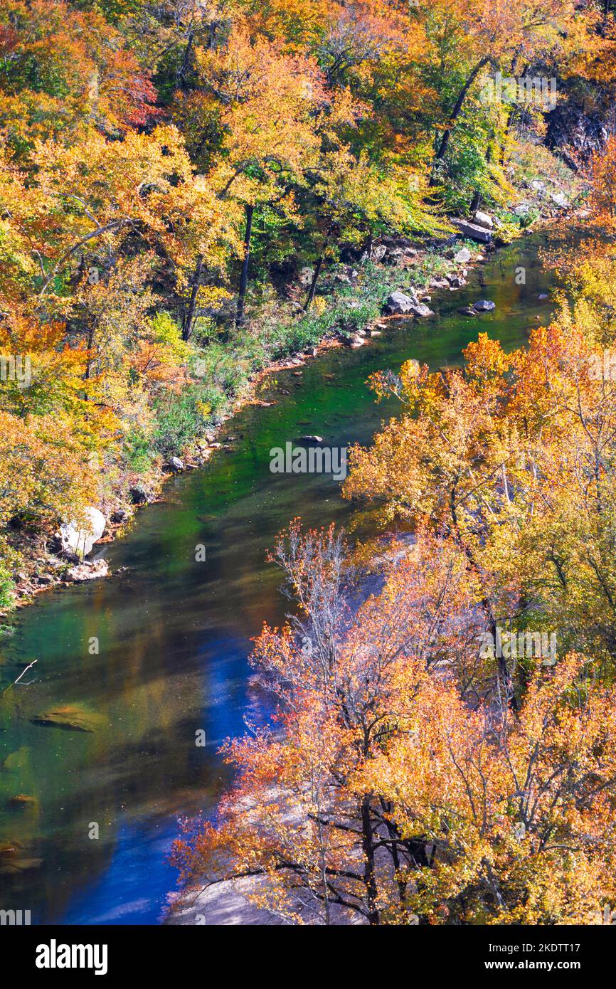 A scenic view of trees changing color and the Buffalo River in the