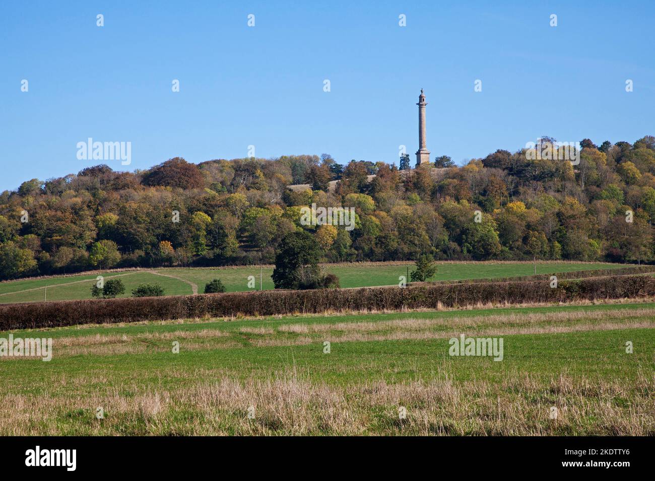 Burton Pynsent Monument from West Sedgemoor RSPB reserve, Somerset Levels, England, UK, October 2018 Stock Photo