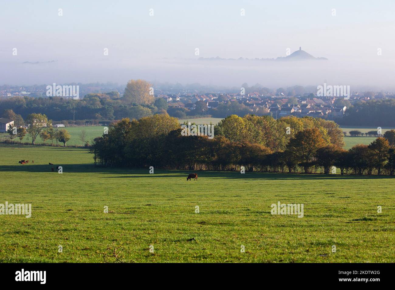 Glastonbury Tor and St Michael's Tower with the town of Street in early morning mist from Walton Hill, Somerset, England, UK, October 2018 Stock Photo