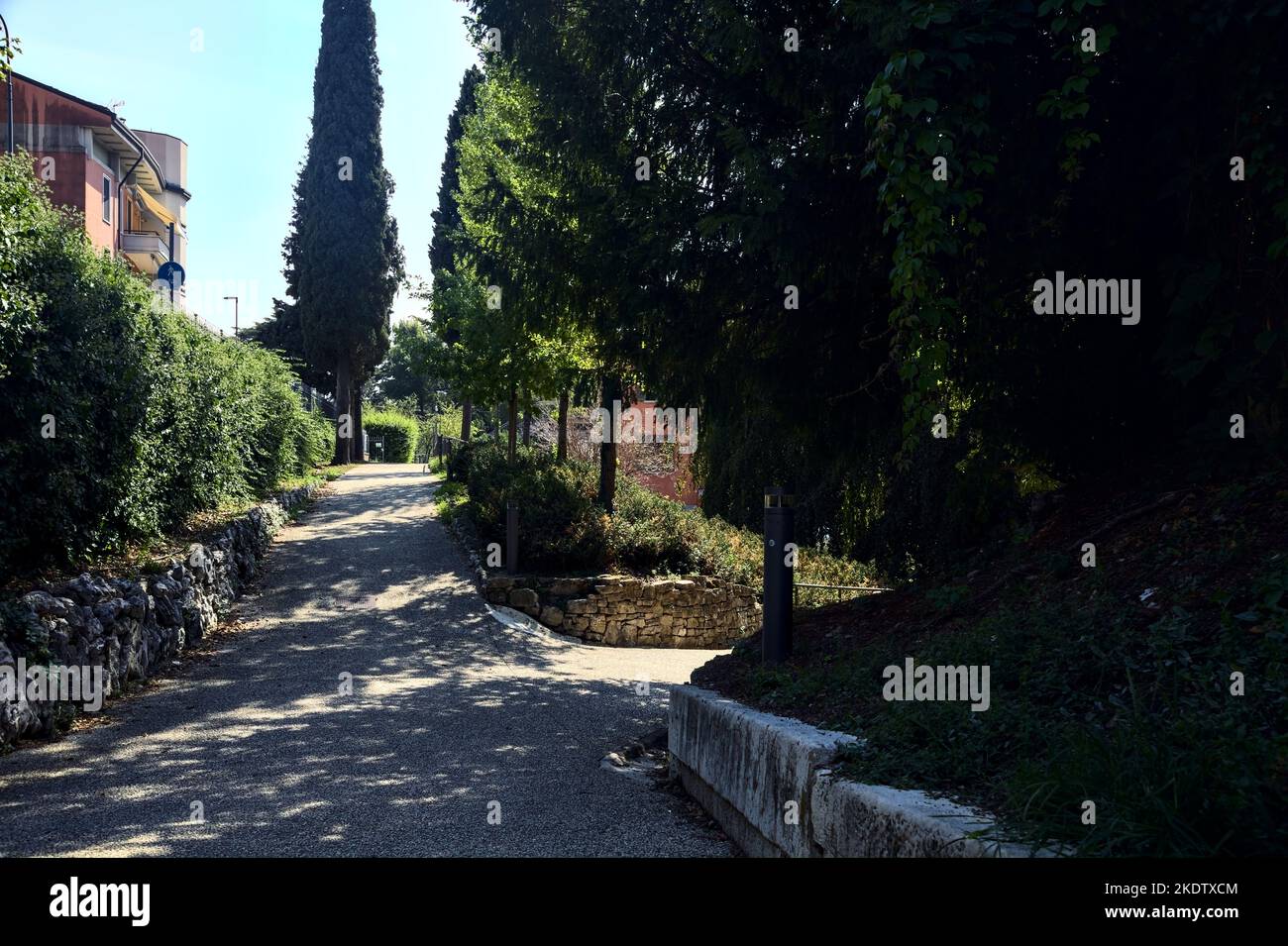 Paved path with trees at its edge in a park Stock Photo - Alamy