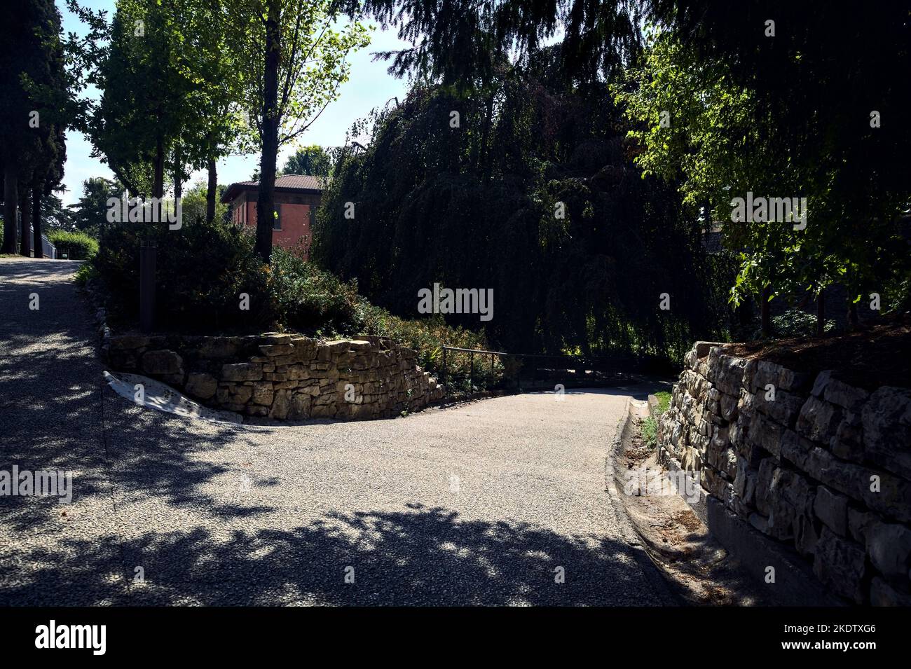 Paved path with trees at its edge in a park Stock Photo - Alamy