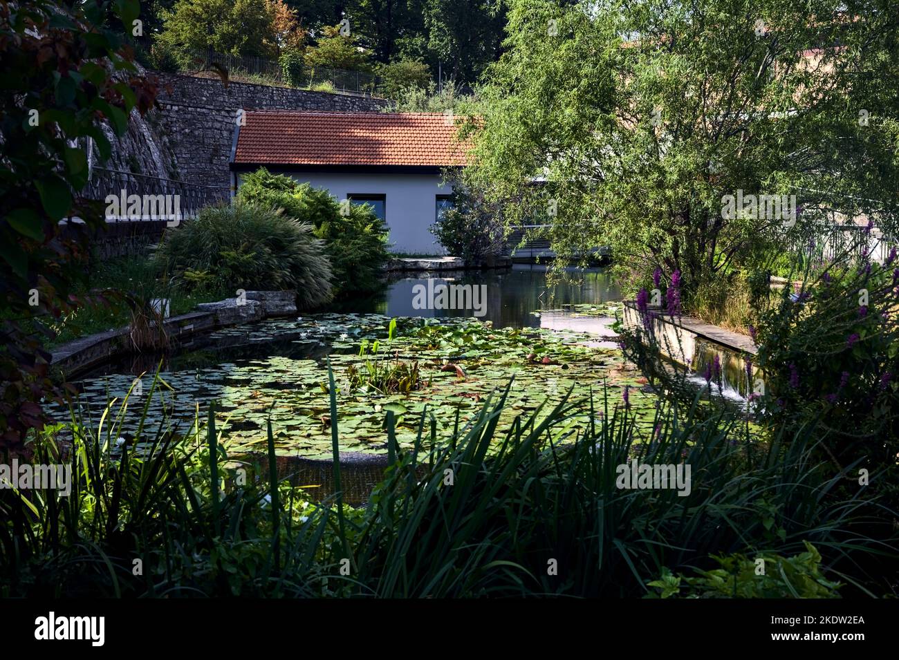 Building  in a pond of a park framed by trees and plants Stock Photo