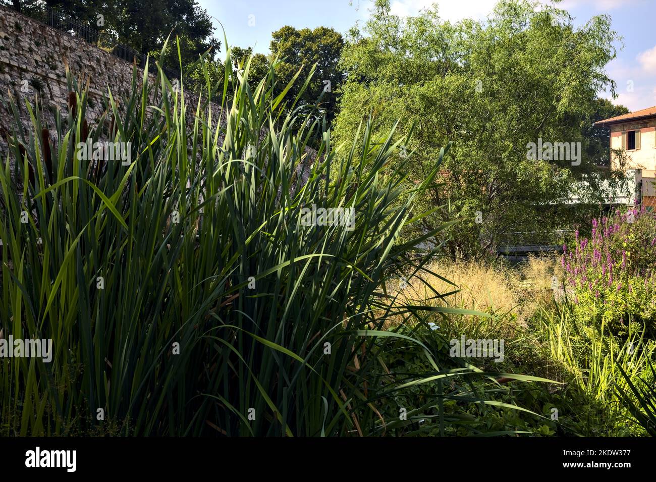 Building  in a pond of a park framed by trees and plants Stock Photo