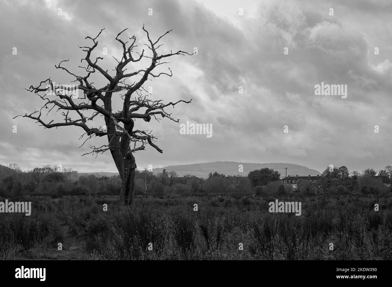 Grey sky cloud Black and White Stock Photos & Images - Alamy