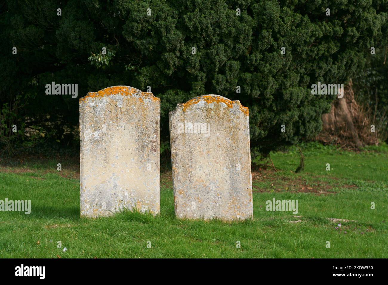 Two blank gravestones or tombstones together. Faded and forgotten Stock  Photo - Alamy