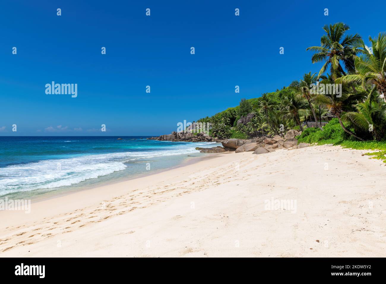 Sandy tropical beach with palms and turquoise sea. Summer vacation and tropical beach concept. Stock Photo