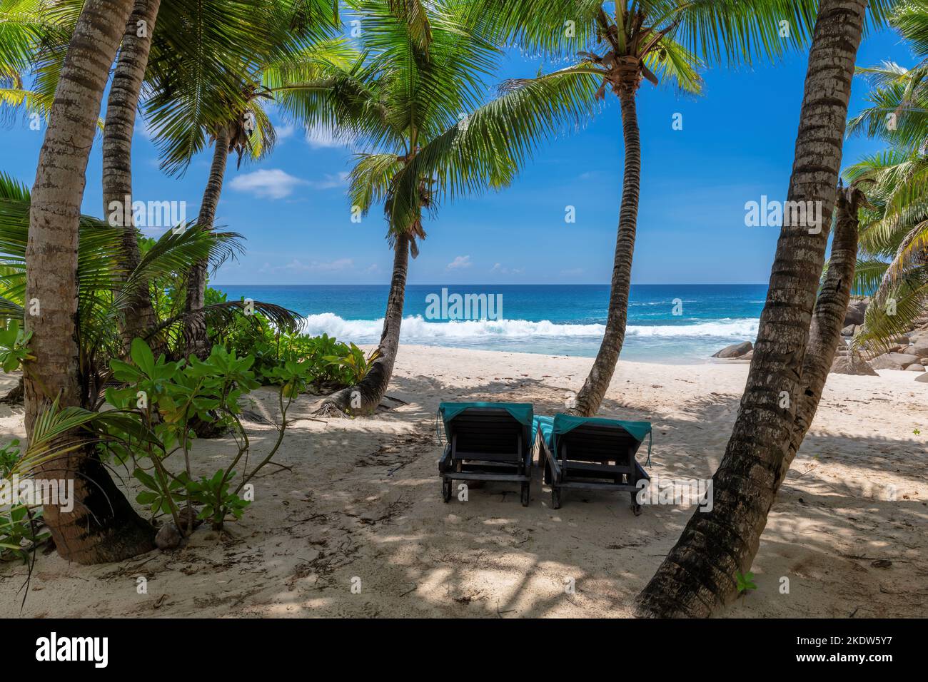 Beach loungers in the shade of palm trees on an exotic beach on a tropical island in Indian ocean. Stock Photo