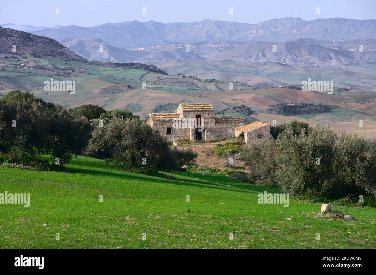 olive tree and old stone house in Sicily, Italy Stock Photo