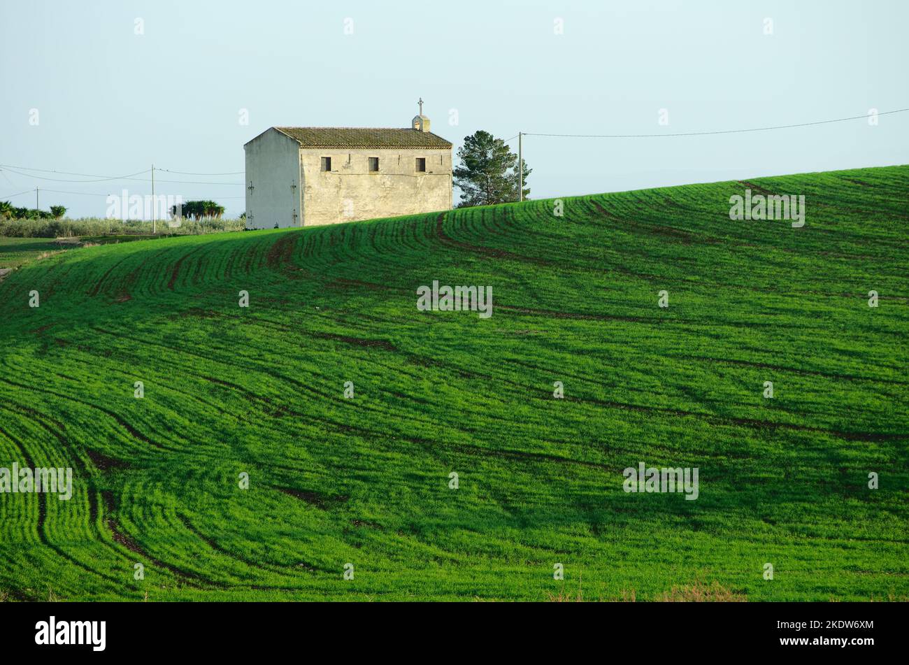 rural church and green wheat field at the evening in Sicily, Italy Stock Photo