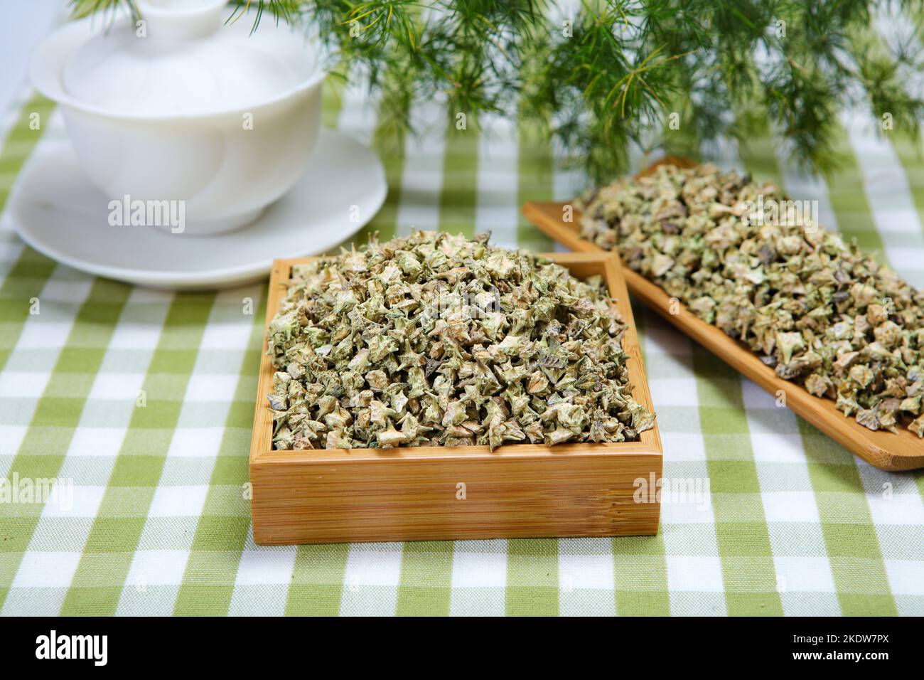 Chinese herbal medicine white thistle Stock Photo - Alamy