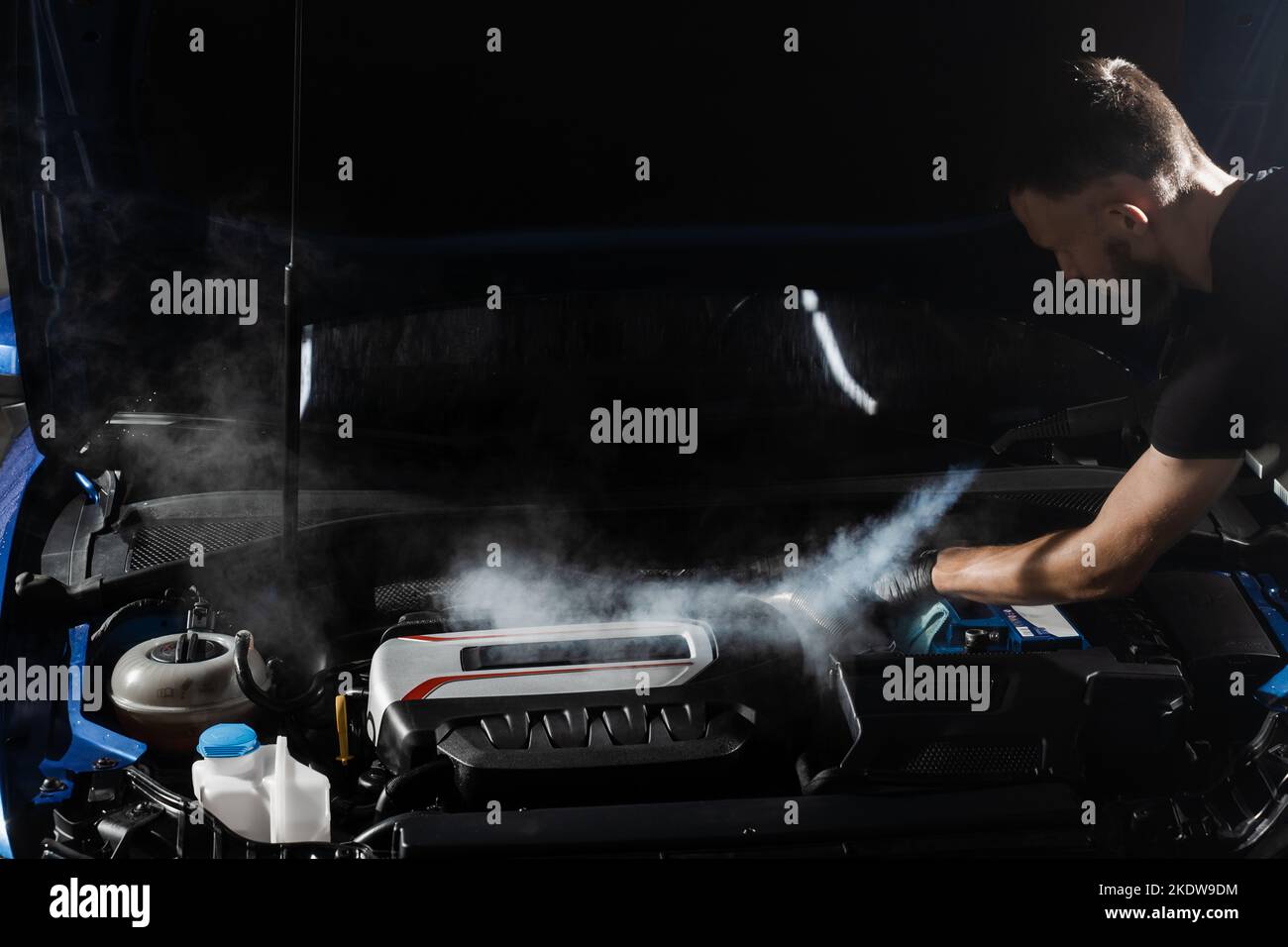 Steaming washing of motor of auto in detailing auto service. Process of