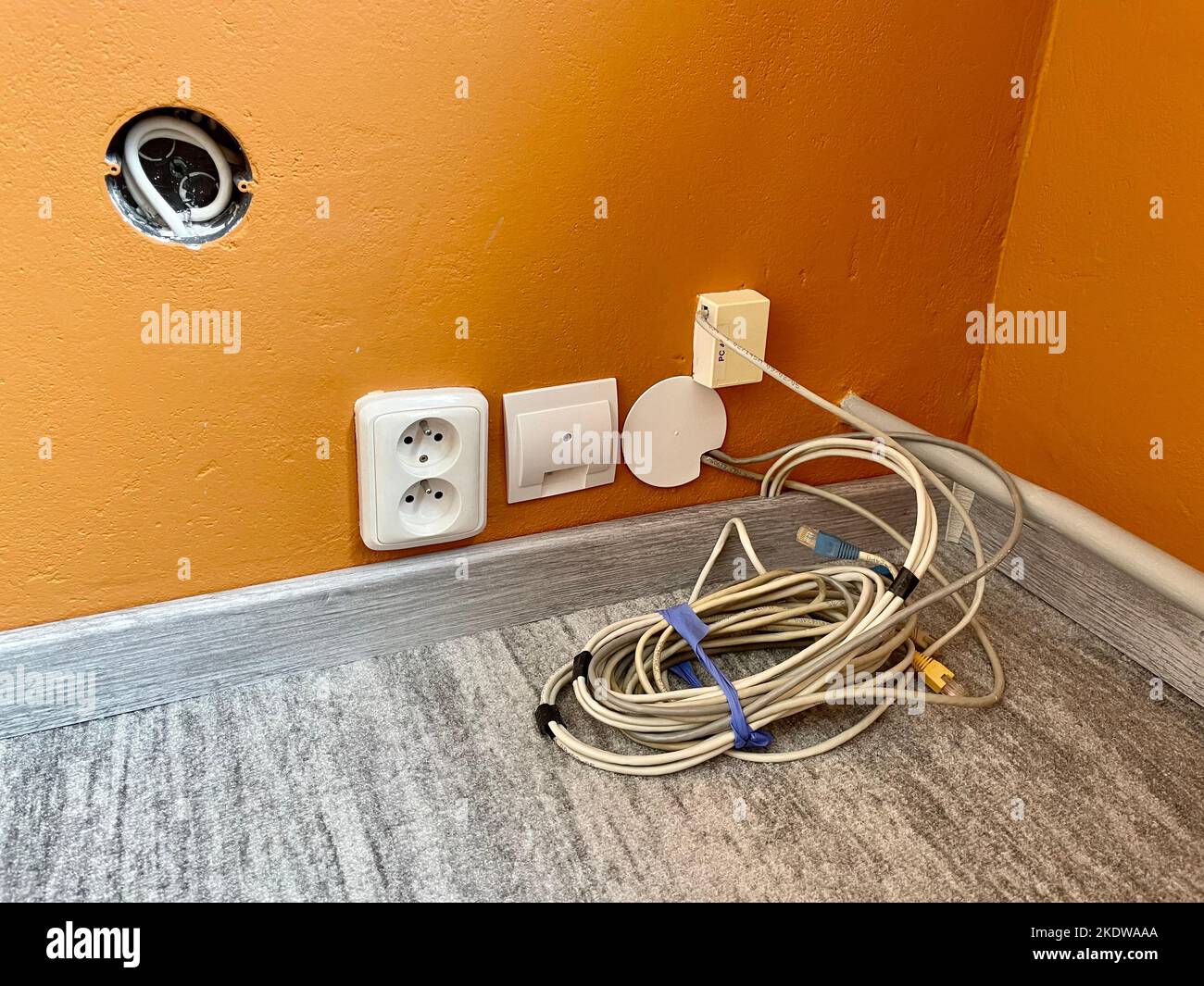 Carpet with plastic baseboard with a wooden texture. Newly installed