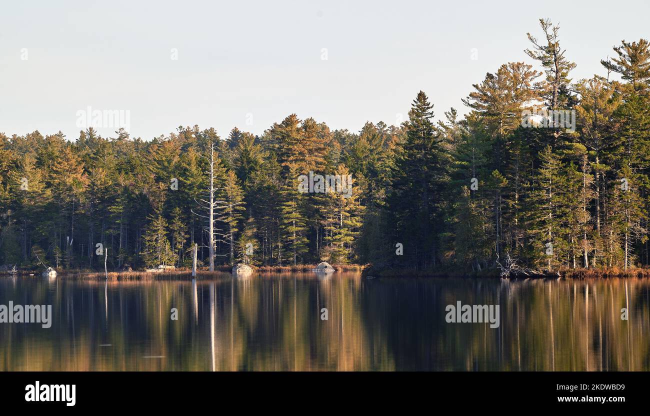 Reflections on Kidney Pond, Baxter State Park, Maine Stock Photo Alamy