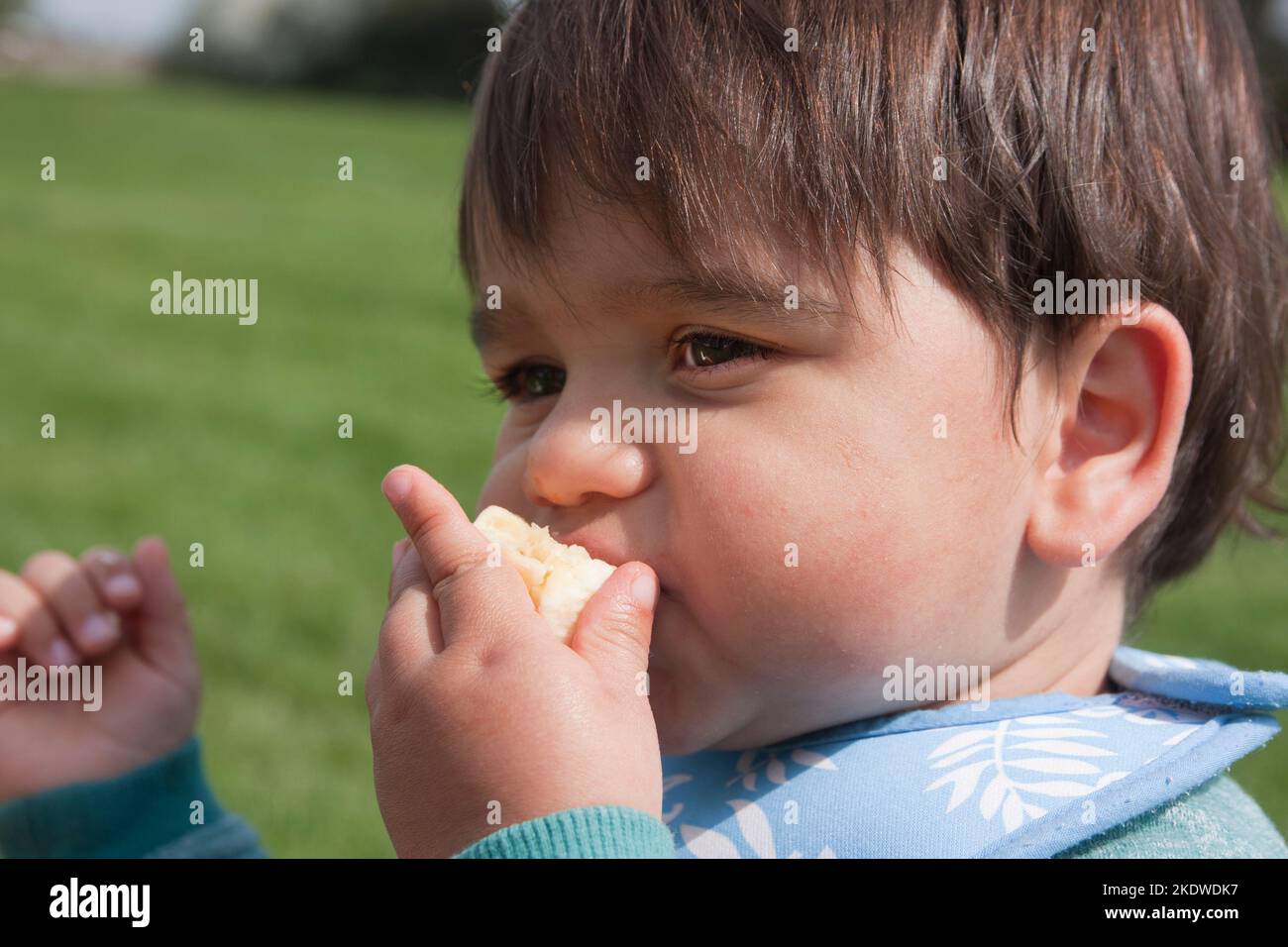 Toddler Eating Banana Stock Photo Alamy