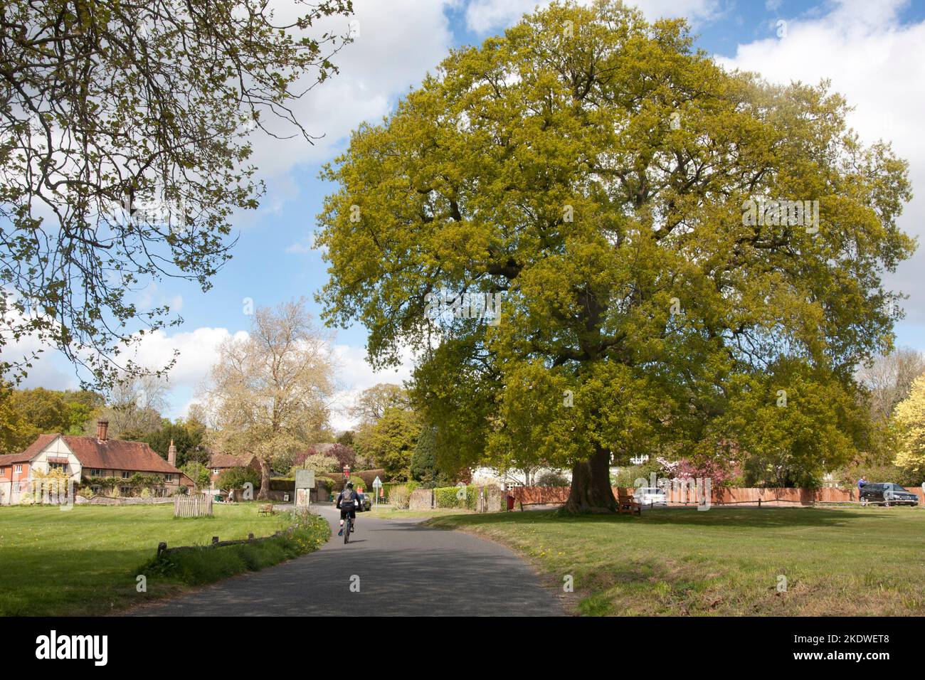 Fernhurst nr Haslemere, West Sussex Stock Photo Alamy