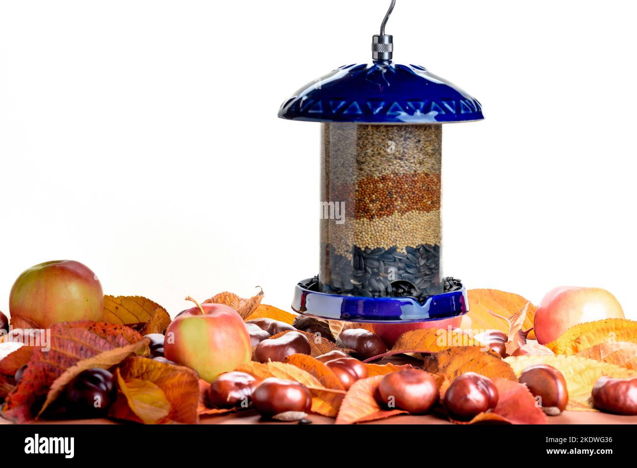 bird feeder full of seeds red and yellow millet, sunflower seed
