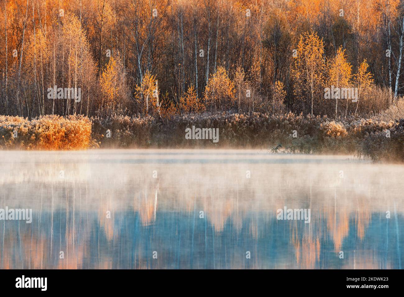 Fog above the lake at cold autumn morning Stock Photo - Alamy