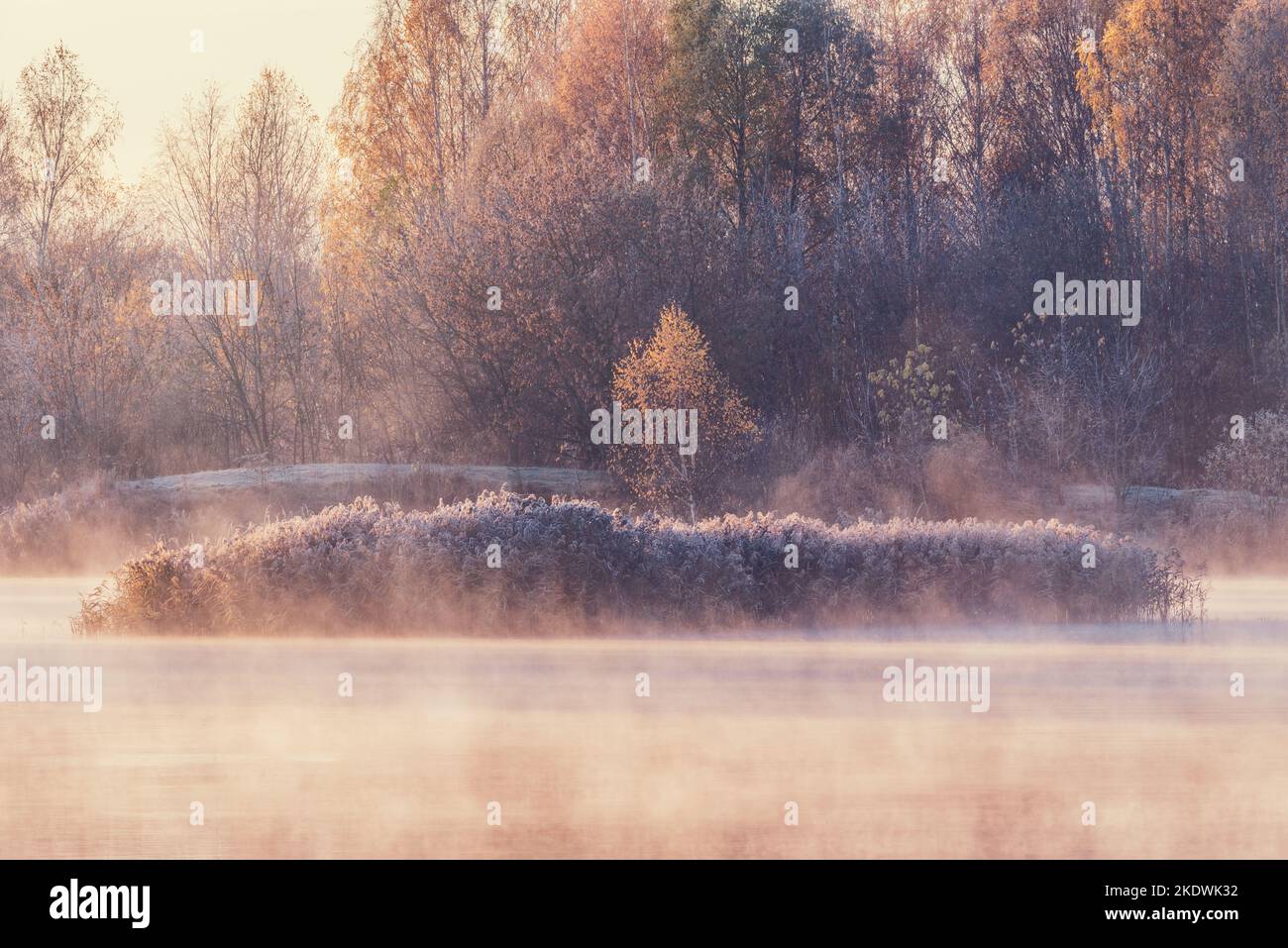 Fog above the lake at cold autumn morning Stock Photo - Alamy