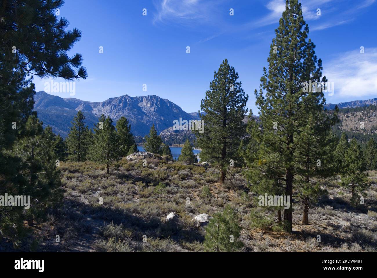 June Lake from afar Stock Photo Alamy