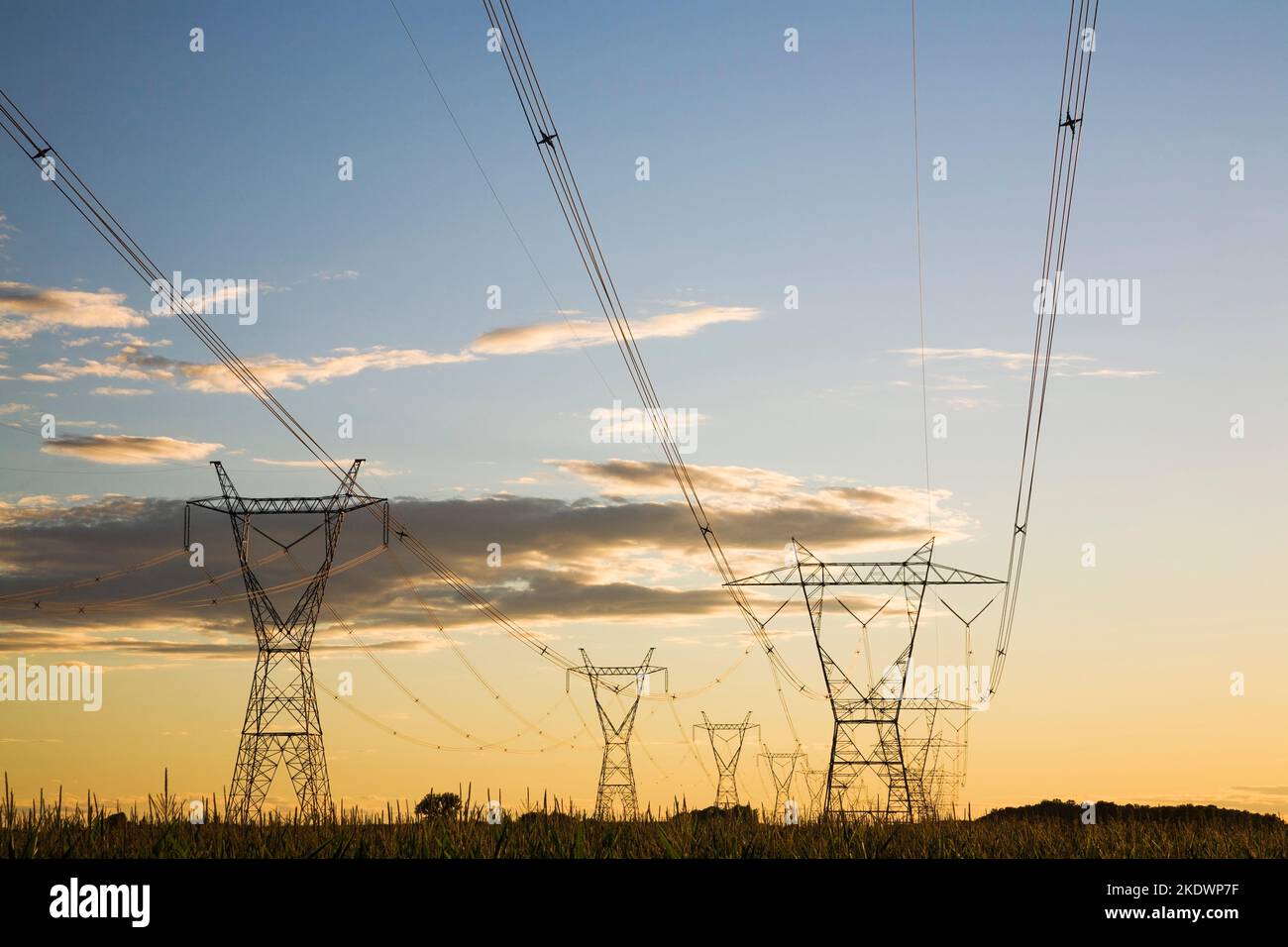 Silhouetted electricity transmission towers in field at sunset in summer, Monteregie, Quebec, Canada. Stock Photo