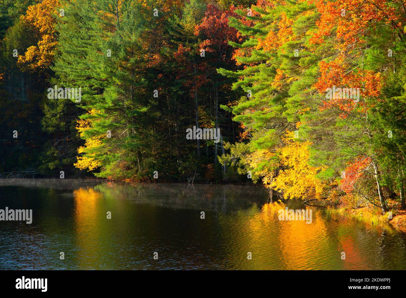 Black Rock Pond, Black Rock State Park, Connecticut Stock Photo - Alamy